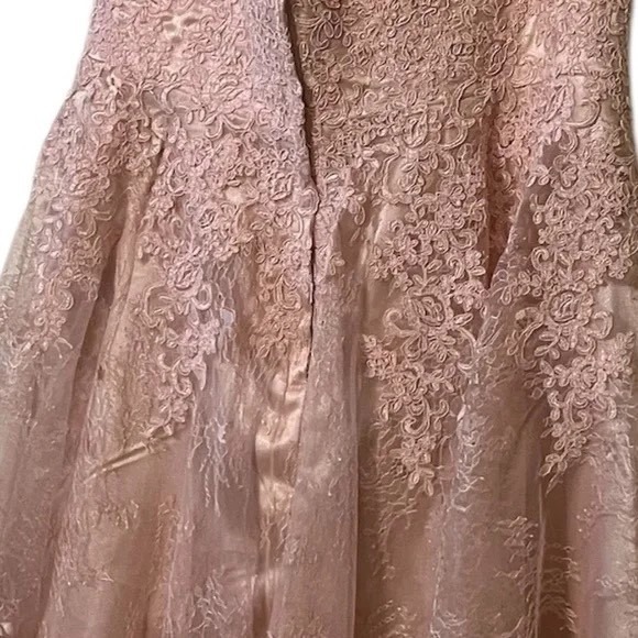 Hebeos A-line Women's Pink Lace Overlay, Cocktail/Party Dress SEE MEASUREMENTS - Picture 8 of 15